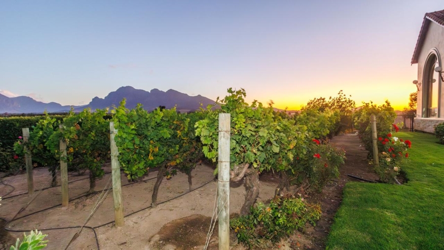 5 Bedroom Property for Sale in Winelands Western Cape